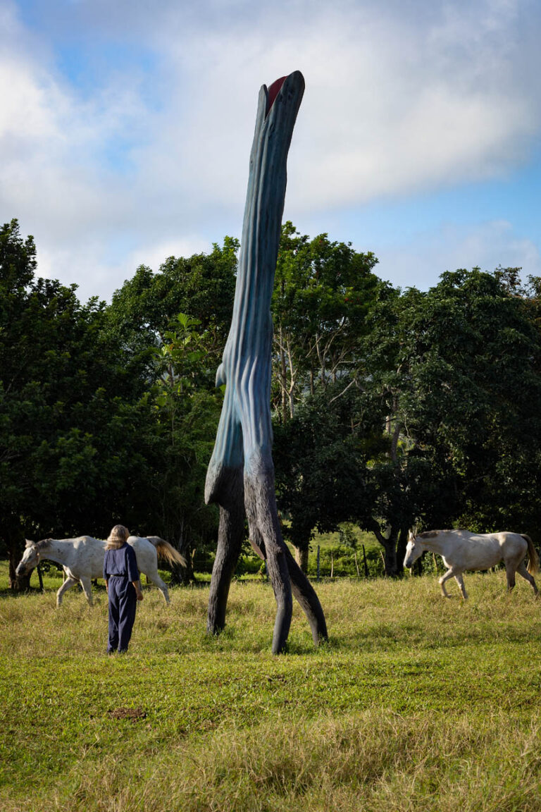 WALKING TREE, 2015, cedar, 15’