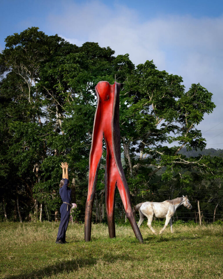 WALKING TREE, 2015, cedar, 15’