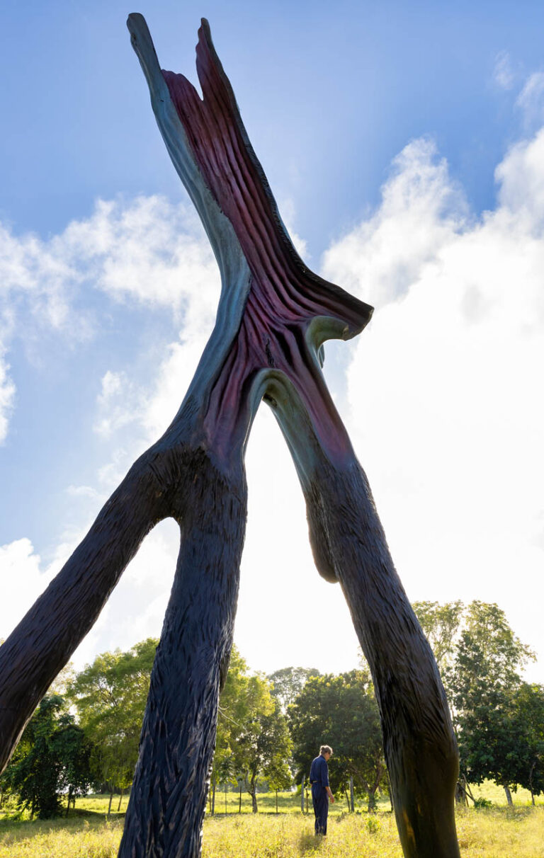 WALKING TREE, 2015, cedar, 15’