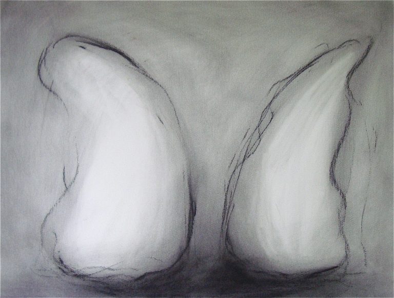 PUPAE, 2011, charcoal drawing,