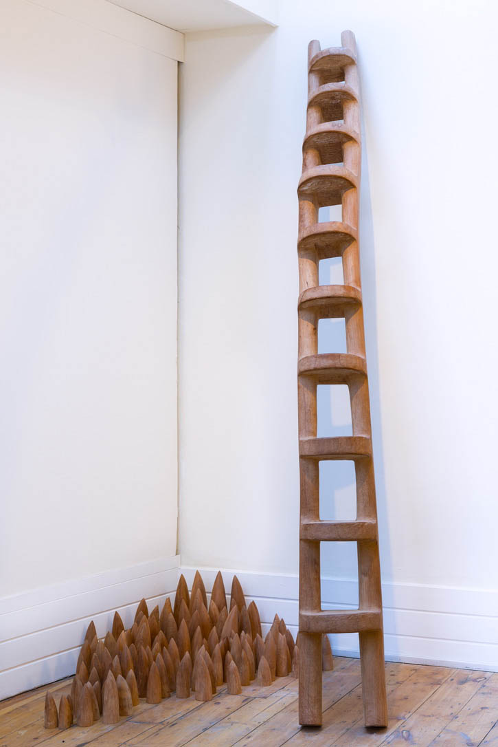 LIGNUM VITAE POINTS, 2011, 2" - 12";
ASCENT, 2011, cedar, 104" x 11" x 7"