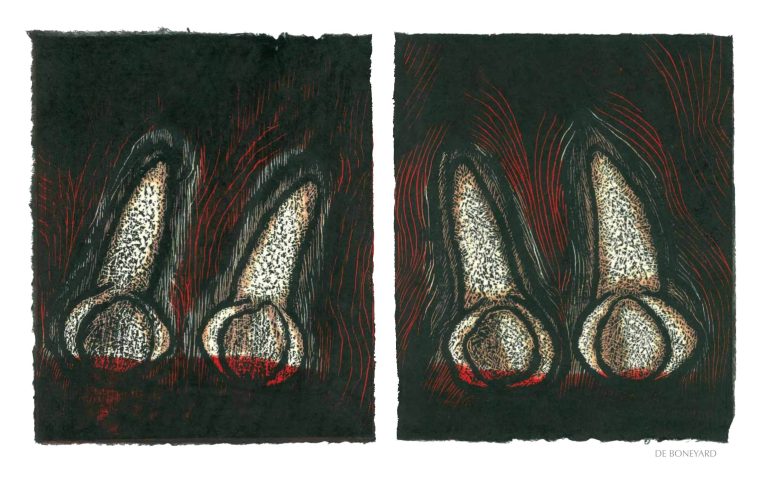 DE BONEYARD, 2012, woodblock print, 1 of 9 diptych prints on Kitikata paper, 10 x 8