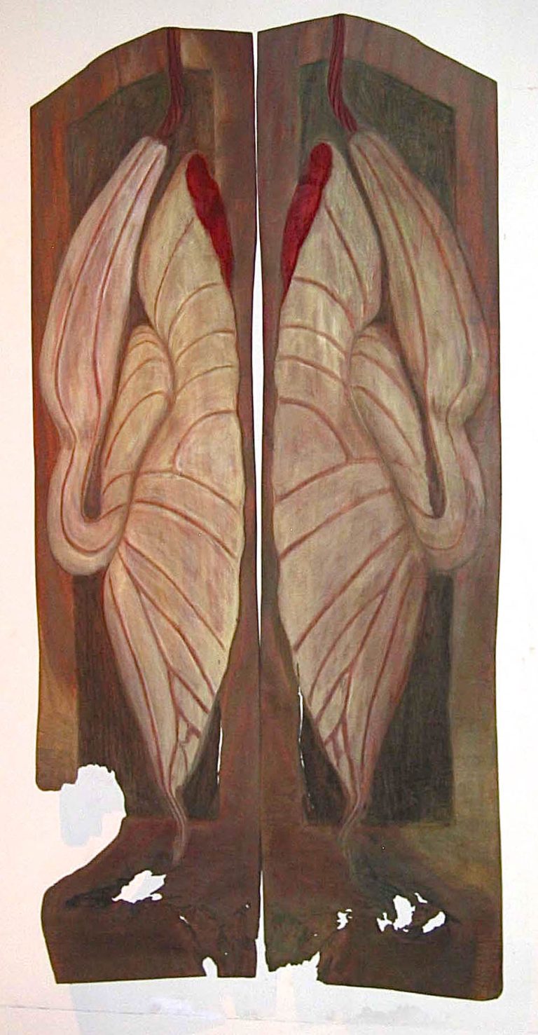 UPPY FLY TRAP, 2006, cedar, 48” x 94” x 1¼”