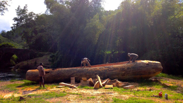 CEIBA in process, 2016, 30’ with assistants on the bank of the White River, St Ann, Jamaica