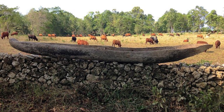 62 MEN AND 63 WOMEN, 2015, cottonwood canoe on stone wall