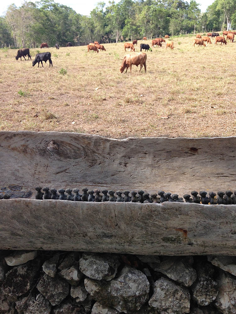 MEN AND 63 WOMEN detail, 2015, cottonwood canoe, resin figures