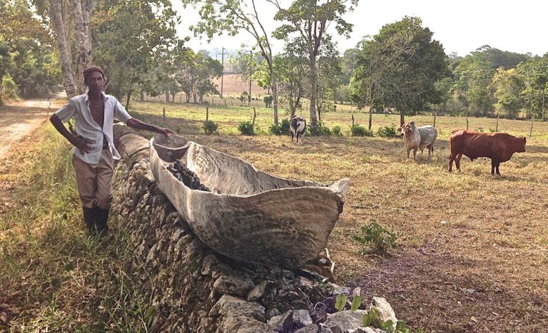 62 MEN AND 63 WOMEN, 2015, cottonwood canoe on stone wall with farmer