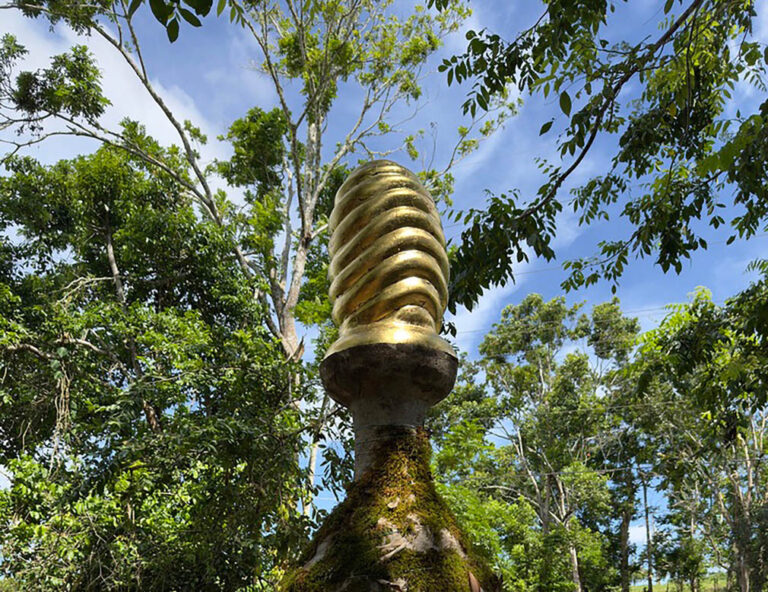 BeeHives, 2024, guango