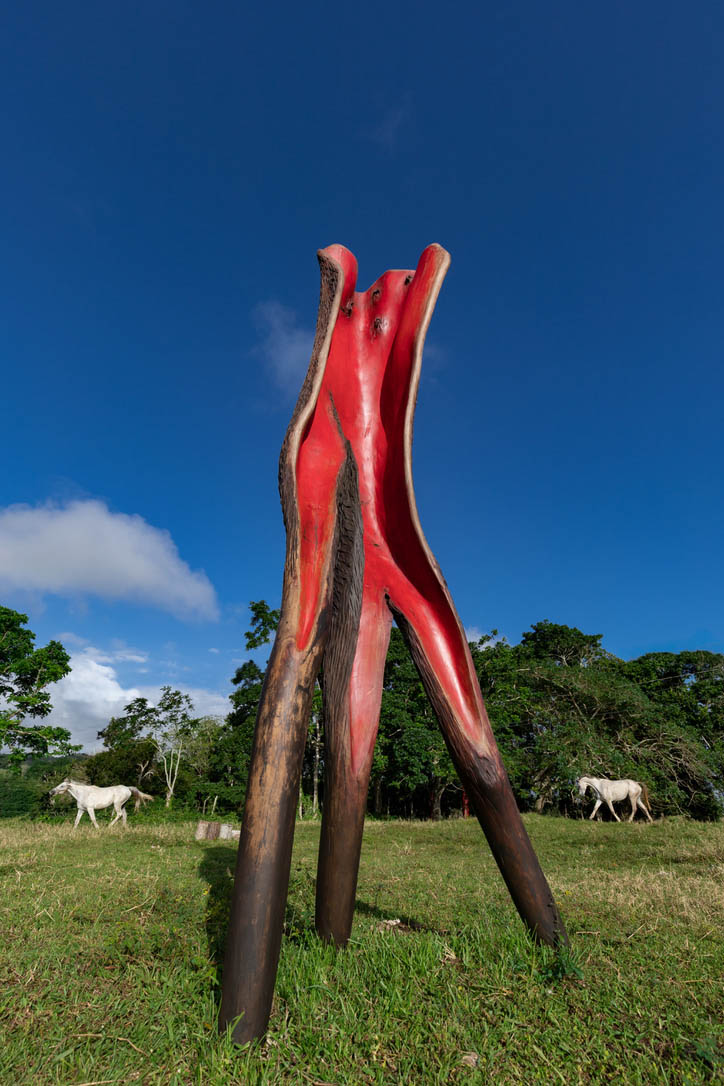 Walking Tree, 2015, cedar