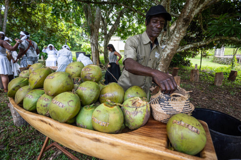 PORTENT coconuts